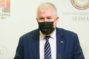 A. Anušauskas: norint tiesti pasienio užtvarą greičiau, reikėtų pasitelkti verslą