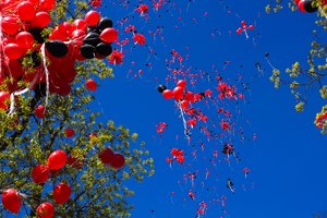 Šventes prašo minėti be balionų: mikroplastikas galiausiai patenka ir į žmogaus organizmą