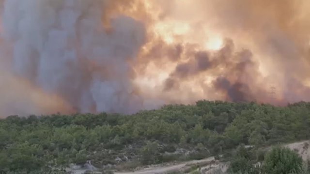 Turkojoje įsiplieskę miškų gaisrai pareikalavo pirmųjų aukų: žuvo trys žmonės