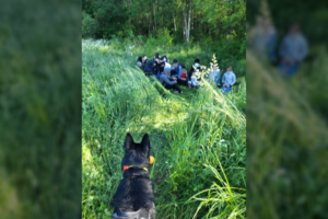 VSAT: sulaikyti dar 137 migrantai, pradėtas jų apgyvendinimas Rūdninkuose