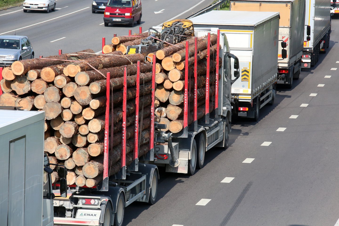Dabar medienos žaliavų kainos įmonėms kandžiojasi skaudžiai, o produkcija galutiniam vartotojui – gerokai pabrango.<br>M.Patašiaus nuotr.