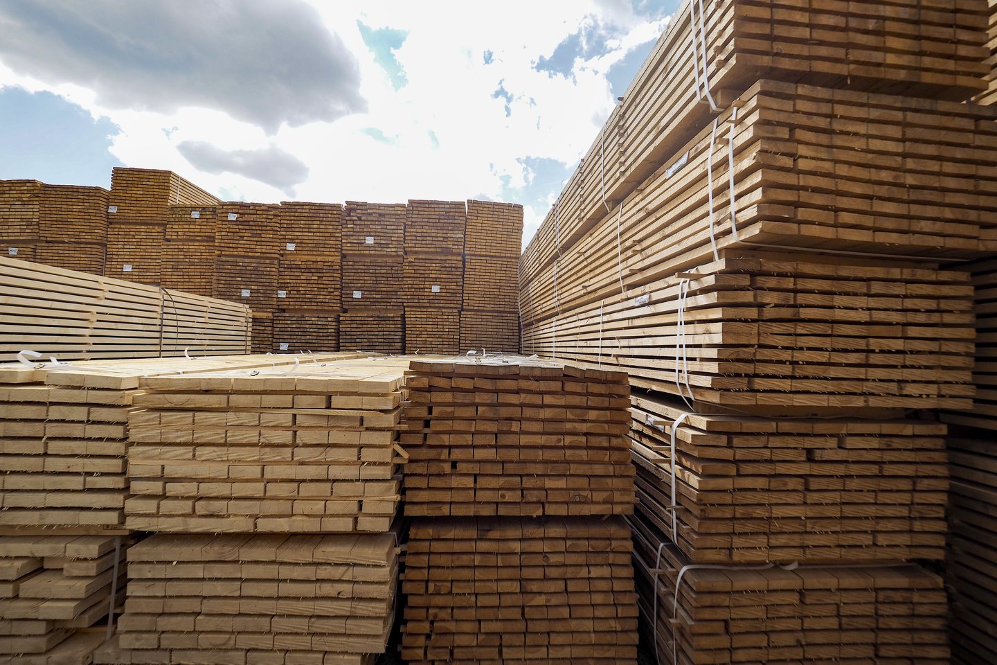 Dabar medienos žaliavų kainos įmonėms kandžiojasi skaudžiai, o produkcija galutiniam vartotojui – gerokai pabrango.<br>V.Ščiavinsko nuotr.