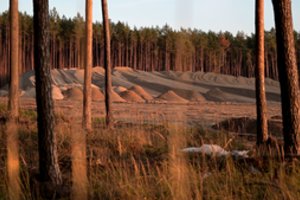 Estas parodoje „Buveinė“ tyrinėja E. Musko „Teslos“ filialo šalia Berlyno grėsmę aplinkai