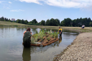 Lietuvos mokslininkai vandens telkinių kokybės gerinimui sukūrė dirbtines salas