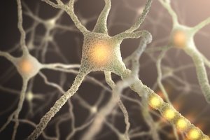 Įspūdingas proveržis – mokslininkams pavyko atkurti prastėjančią atmintį