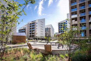 NT vystytojai vis daugiau dėmesio skiria tam, ką naujakuriai ypač vertina