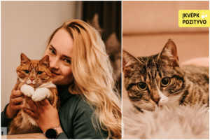 Vieną iš dviejų augintinių rado keisčiausioje vietoje: priminė dėl kačių pamišusią „Simpsonų“ heroję