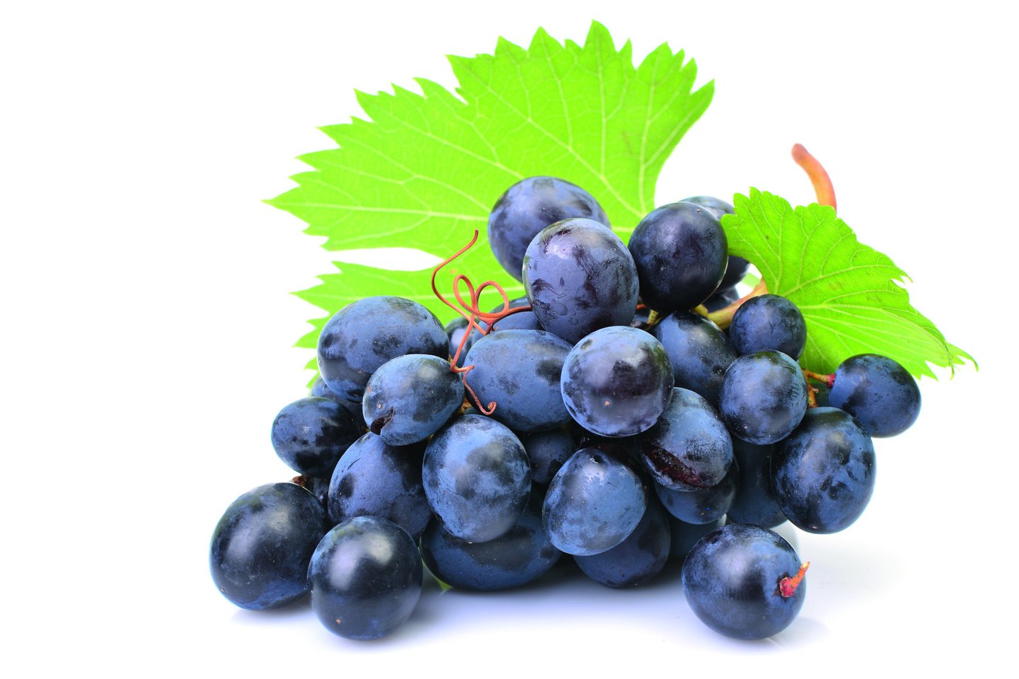Kasdien valgomos vynuogės suteikia skaistumo odai ir žvilgesio plaukams.<br>123rf nuotr.