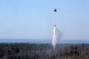 Bulgarijoje plintantys miškų gaisrai pareikalavo jau dviejų gyvybių