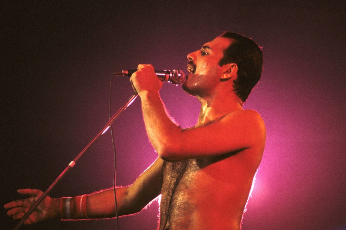 Freddie Mercury.<br> Scanpix/IM nuotr.