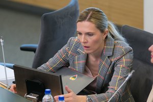 A. Bilotaitės atsakas A. Lukašenkai: būtų neįtikėtina, jeigu jis pasirūpintų sienų saugumu