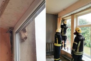 Ugniagesiai gelbėjo stovyklaujančius vaikus nuo širšių: lizdus susisuko per savaitgalį
