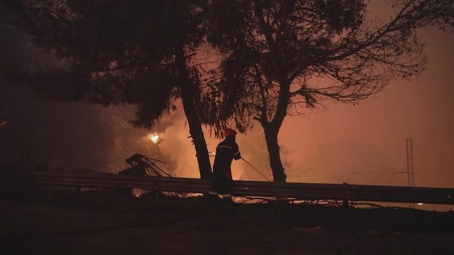 Ugnies suvaldyti nepavyko: netoli Atėnų naktį vėl įsiplieskė miškų gaisrai