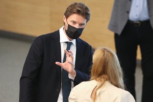 M. Majauskas apie sienos statymo planus: 150 mln. yra lašas jūroje 