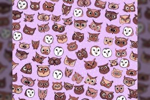 Iššūkis pastabiausiems: ar matote tarp pelėdų drugelį?