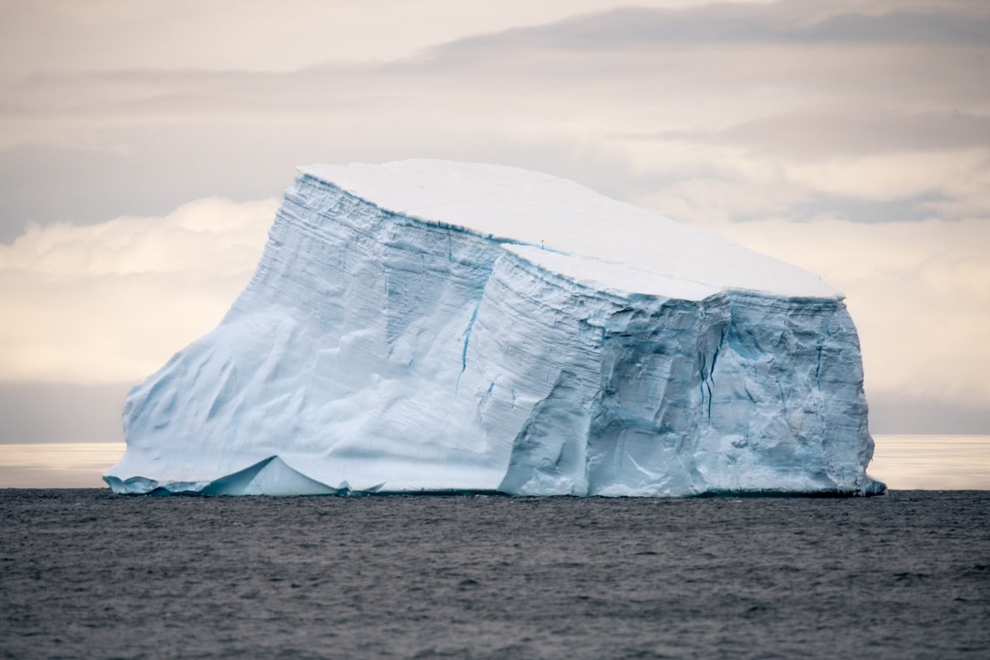 Mokslininkai praneša: nesustabdomai tirpstančiuose ledynuose tvirtinasi nauja gyvybė.<br> Unsplash nuotr.