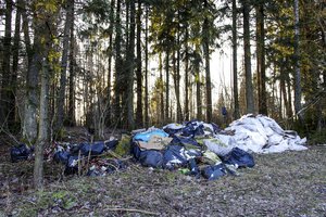 Aplinkosaugininkai įspėja: viena miške išmesta šiukšlė gali tapti sąvartynu