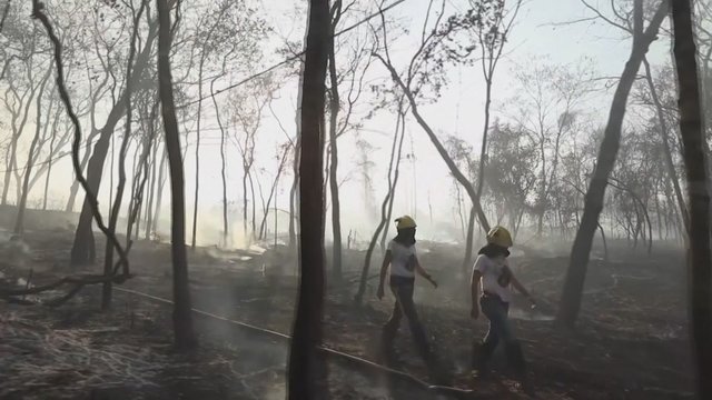Brazilijoje kilęs gaisras buvo sukeltas žmogaus, dėl sauso oro šalyje padėtis blogėja