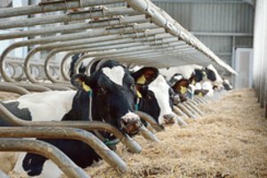 Sprendimas dėl tiesioginių išmokų ribojimo jau 2022 m. Europos Komisijai perduotas slapčia