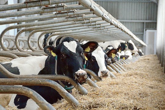 Sprendimas dėl tiesioginių išmokų ribojimo jau 2022 m. Europos Komisijai perduotas slapčia