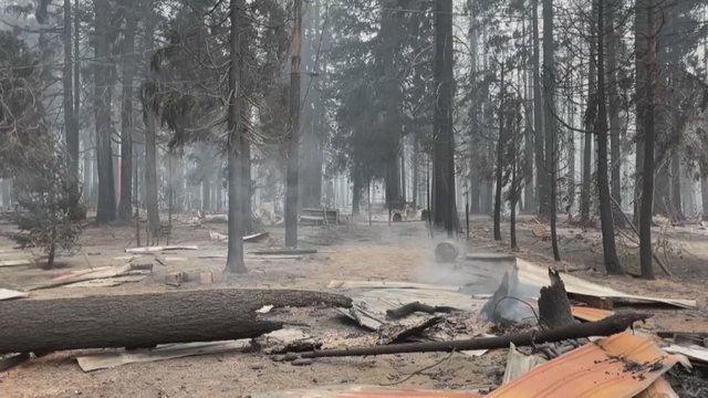 Kalifornijoje ir toliau siautėja vienas baisiausių miško gaisrų: pranešta apie aštuonis dingusius žmones