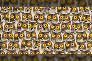 Ar sugebate rasti katiną tarp pelėdų? Iššūkį įveikia ne visi