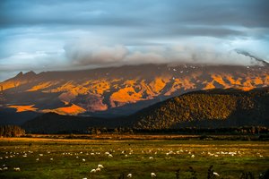 Australija atmeta raginimus užsibrėžti ambicingesnius klimato tikslus