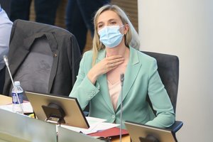 A. Bilotaitė paprašė Seimo kontrolierių įstaigą įvertinti V. Valentinavičiaus komentarus