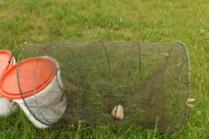 Aplinkosaugininkai primena: žvejoti bučiukais ir tinklais griežtai draudžiama