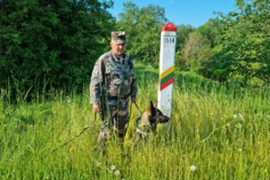 Seimas pritarė siūlymui įrengti tvorą prie sienos su Baltarusija