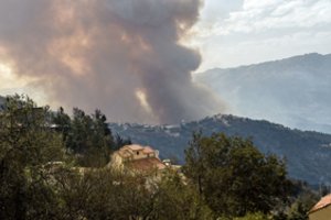 Alžyre liepsnojantys miškų gaisrai pareikalavo jau 42 gyvybių