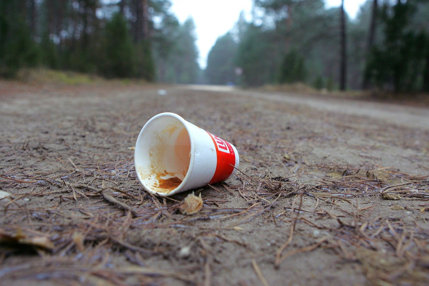 Karantinas miškams padovanojo šūsnį vienkartinių indų.<br>V.Balkūno nuotr.