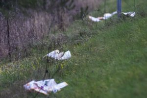 Karantino „dovana“ miškams: šūsnys vienkartinių indų