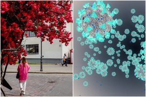 Lietuvoje per kelias dienas nustatė 736 naujus delta atmainos atvejus