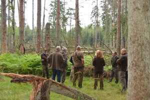 Miškininkai gelbės spygliuočių medynus nuo kenkėjų