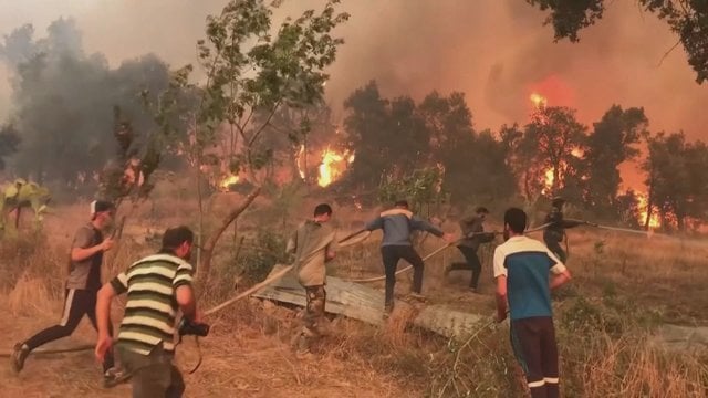 Beviltiškos Alžyro gyventojų pastangos: vis neužgesinami gaisrai, kuriuose jau žuvo 65 žmonės