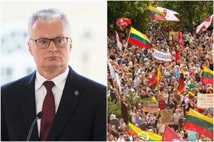 Ekspertai apie G. Nausėdos retoriką dėl riaušių: sotus vilkas ir sveika avis įmanoma tik tautosakoje