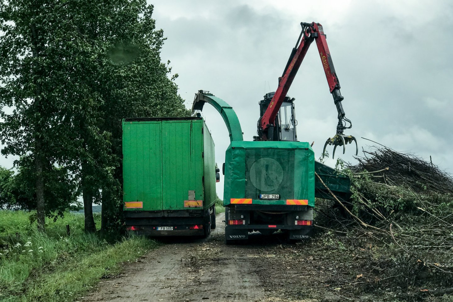 Nemažai biokurui naudojamos geresnės medienos yra importuojama iš Baltarusijos, o miško kirtimo atliekos paliekamos pūti miškuose.<br> V.Ščiavinsko nuotr.
