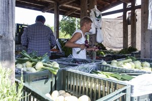 Lietuviško derliaus paklausa auga, bet su lenkiška produkcija konkuruoti sunku: įspėja, dėl ko pirkėjai turėtų būti atsargūs