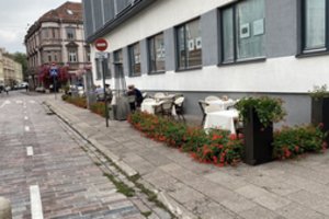 Rekonstrukcija Vokiečių gatvėje: savivaldybė sunčia žinią verslininkams ir medžių mylėtojams