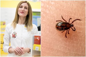 Vaistininkė patarė, ką daryti, jei įsisiurbė erkė: išskyrė kelias dažnas klaidas