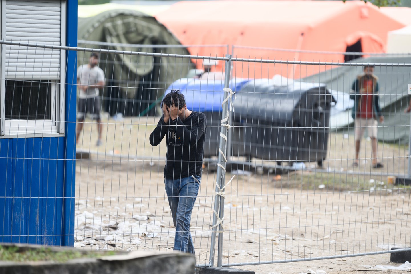 Migrantai.