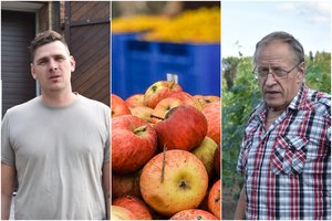 Atsparūs nesėkmėms kaimynai gamina tai, ką sumanė – jau paruošė talpyklas obuolių sultims