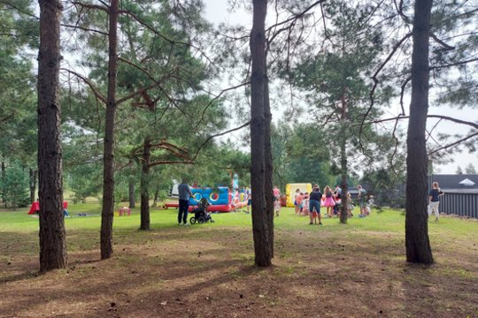 Galimų įvaikinti vaikų sąraše yra 379 vaikai, didžioji jų dalis yra vyresni nei 6 metų