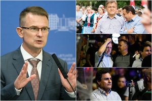 A. Dulkys apie proteste prie Seimo dalyvavusius politikus: jie man primena liliputus iš „Guliverio kelionių“