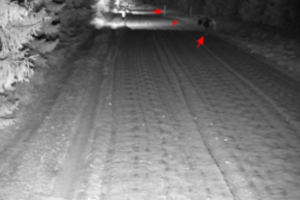 Plinta dar viena melaginga žinutė apie Lietuvos pasieniečius: kaltinami žiauriai sumušę migrantus