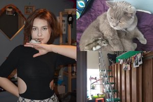 Daugybę skirtingų gyvūnų auginanti studentė: „Svarbu laiku pašerti, kad vienas į kitą neimtų žiūrėti kaip į grobį“