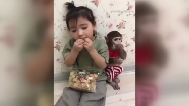 Pasigrožėkite: netikėta beždžioniuko ir mažos mergaitės draugystė