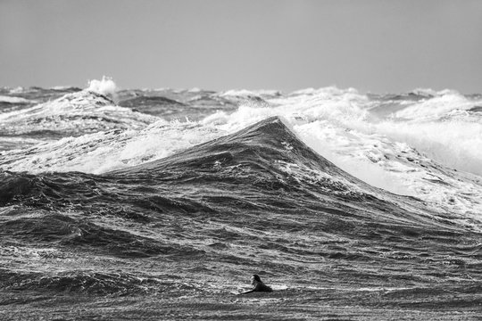  Įspūdingi vaizdai: banglentininkai per audrą nėrė į Baltijos jūrą.<br> Domo Rimeikos nuotr.