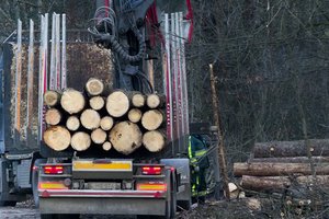 Bandys sumažinti šildymo kainas: aktyviau surinkinės medienos likučius biokurui